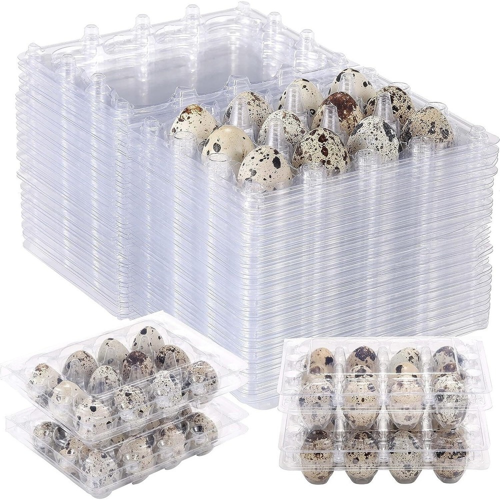 25x Small Quail Egg Cartons 12 Cell 3x4 Snap Close